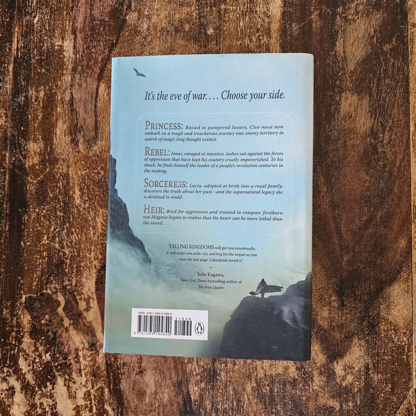 Falling Kingdoms series