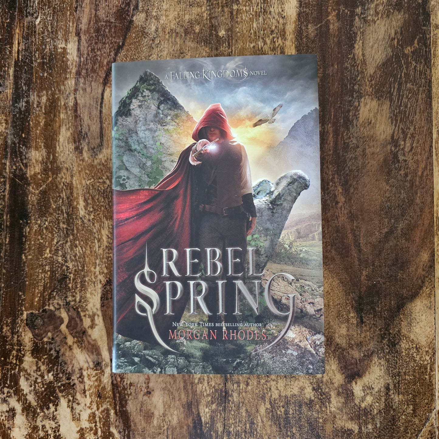Falling Kingdoms series