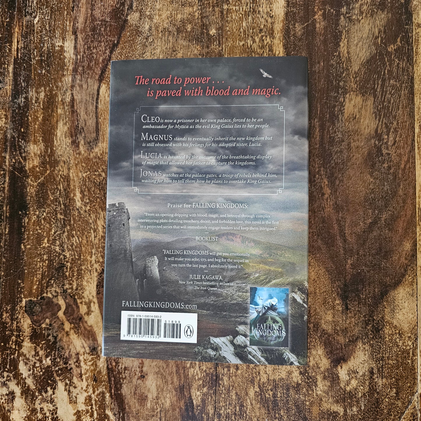 Falling Kingdoms series