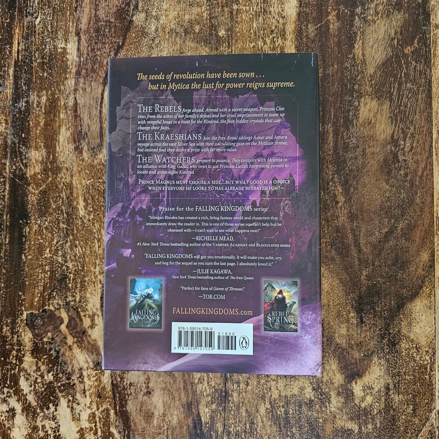 Falling Kingdoms series