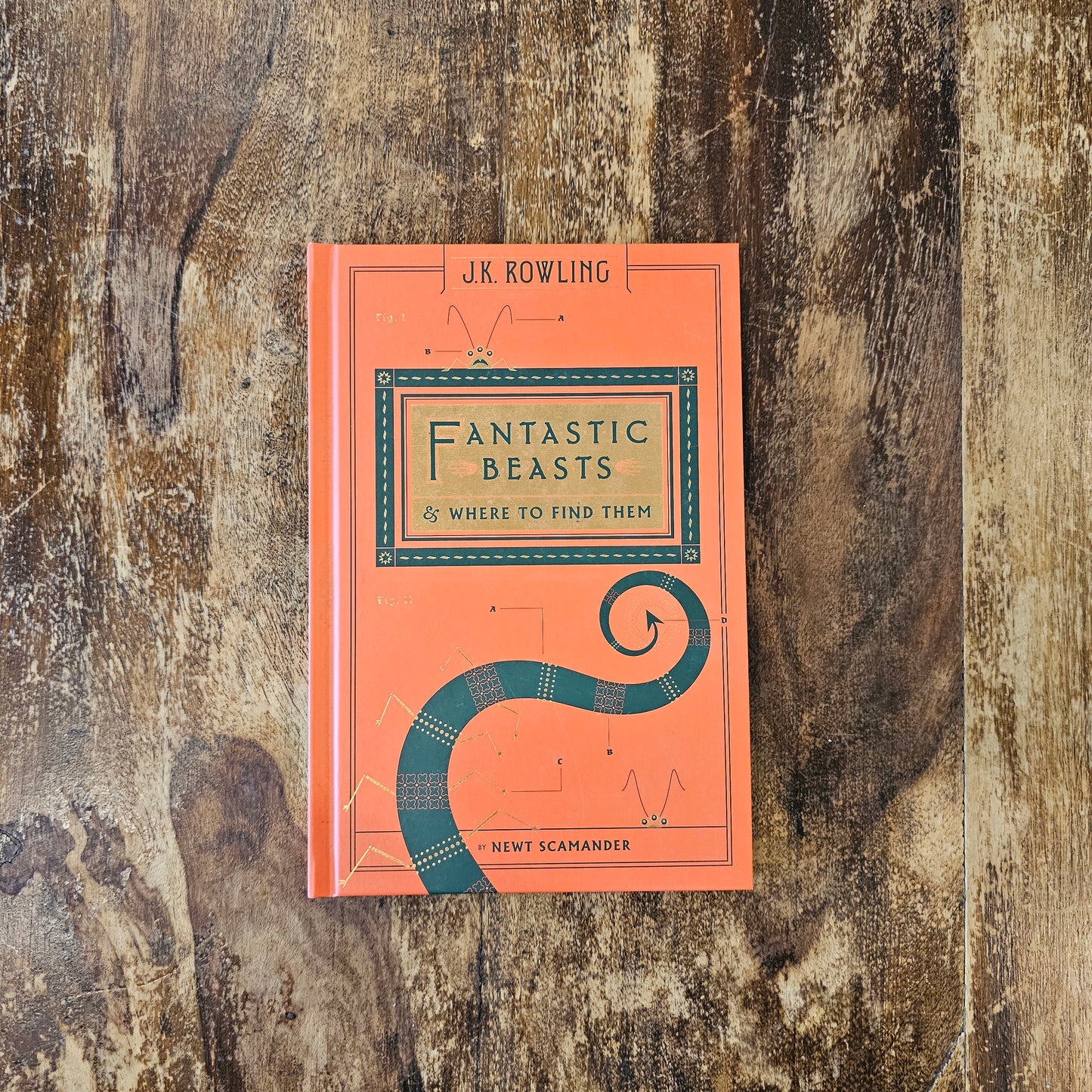 Fantastic Beasts and Where to Find Them