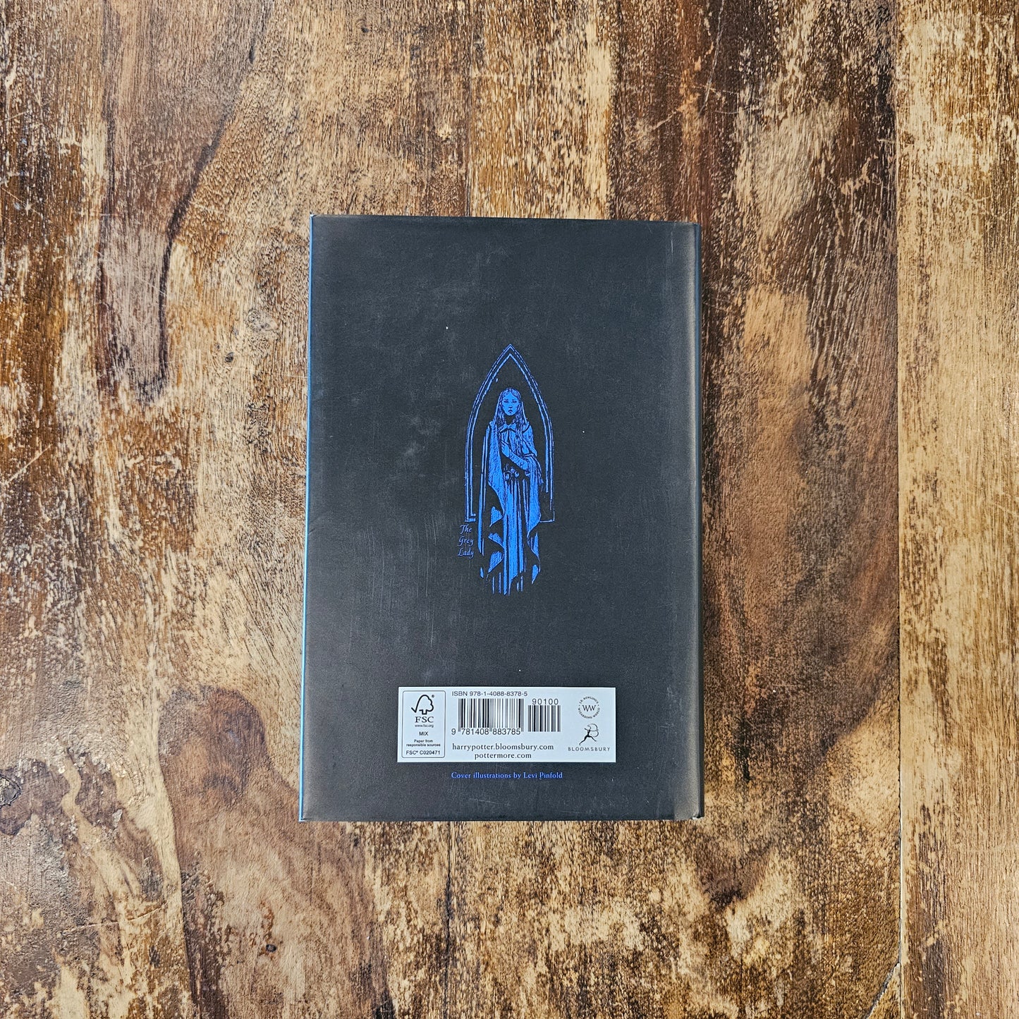 Harry Potter 20th Anniversary (Ravenclaw)